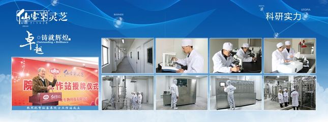 靈芝 亞健康人群的天然調養師與企業技術服務新機遇